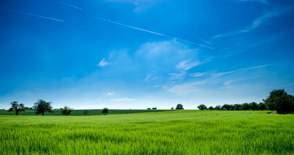 pexels-photo-440731 Panoramic Photography of Green Field